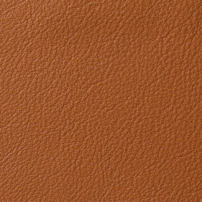 Garrett Leather Avion Canyon