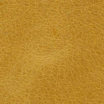 Garrett Leather Distressed Brass