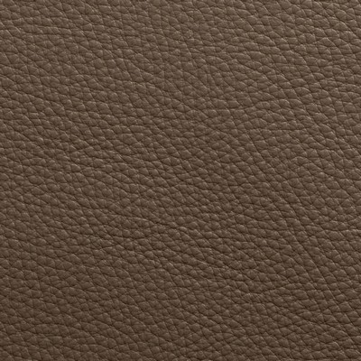 Garrett Leather Torino Hearthstone