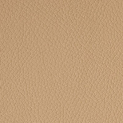 Mitchell Group Iberia Buckskin