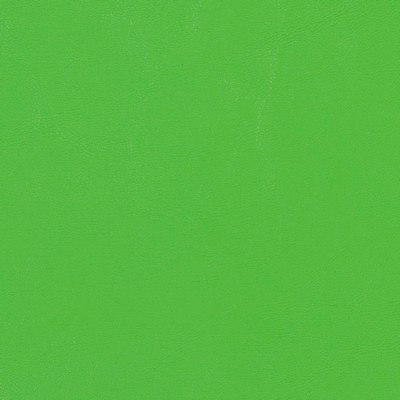 Morbern Fabric Seabrook Lime