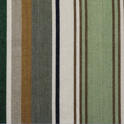 Roth and Tompkins Textiles Bridgewater Meadow  Green Multipurpose Cotton 100% Cotton Fire Rated Fabric Striped fabric by the yard.