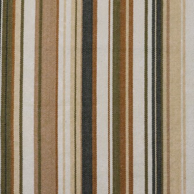 Roth and Tompkins Textiles Victoria Sagegrass  Brown Cotton 100% Cotton Fire Rated Fabric Striped  Ranch Style fabric by the yard.