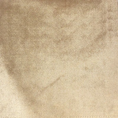 World Wide Fabric  Inc Margo 05 Beige