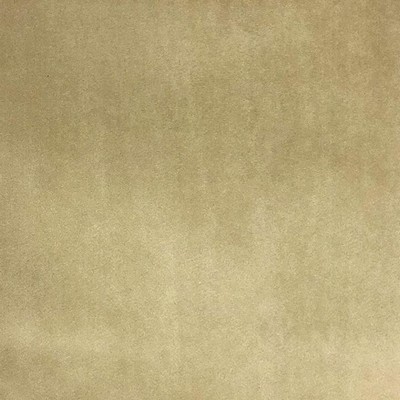 World Wide Fabric  Inc Tuscan Beige