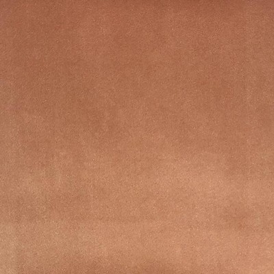 World Wide Fabric  Inc Tuscan Blush