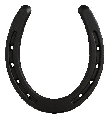 Ona Drapery Hardware Horse Shoe Rosette Shown in Black