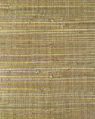 Washington Wallcoverings EW3140 