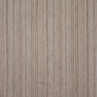 Maxwell Fabrics ARITA # 559 TAUPE