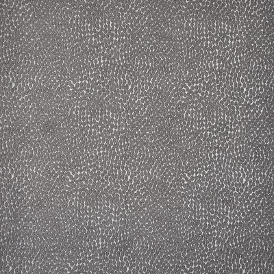 Maxwell Fabrics BITSY                          953 LEAD               