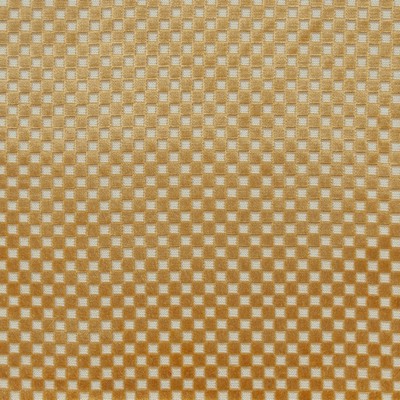 Maxwell Fabrics BOLZANO # 636 MIDAS