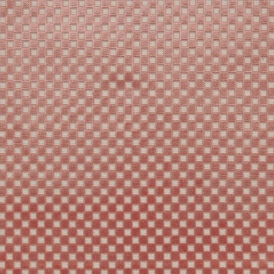 Maxwell Fabrics BOLZANO # 647 ROSY