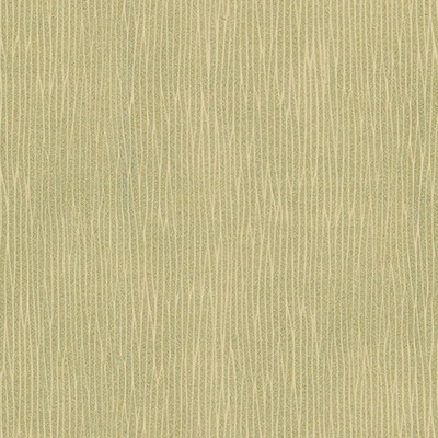 Maxwell Fabrics CARUSO-NJ # 439 CELERIAC