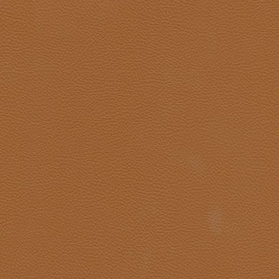 Maxwell Fabrics CATALYST-NJ # 521 OCHRE