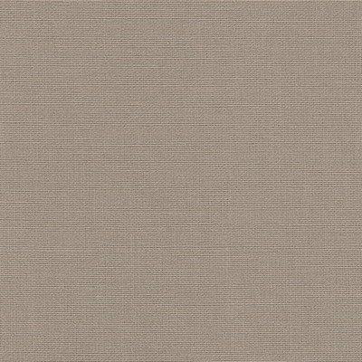 Maxwell Fabrics DERDJA-NJ # 1255 GULL