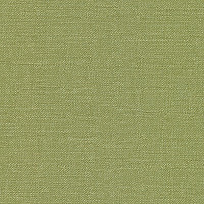 Maxwell Fabrics EQUILIBRIUM-NJ # 231 GRASS