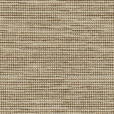 Maxwell Fabrics FEDERATION-NJ # 1163 PAPYRUS