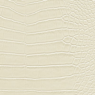 Maxwell Fabrics FLOTILLA-NJ # 468 PLASTER