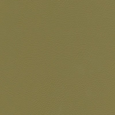 Maxwell Fabrics HERVE-NJ # 749 SAGE