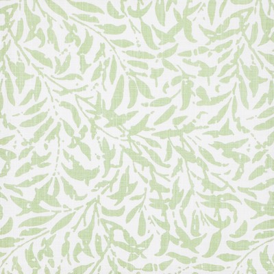 Maxwell Fabrics INGLEBY # 505 CELERY