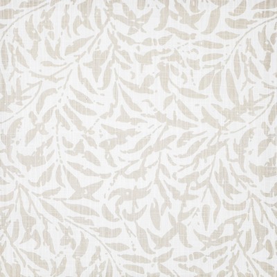 Maxwell Fabrics INGLEBY # 513 SAND DOLLAR