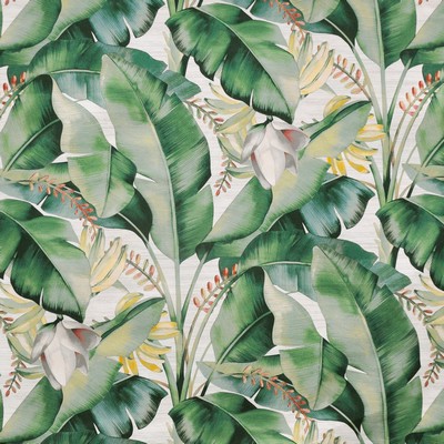 Maxwell Fabrics KONA # 521 ALOE