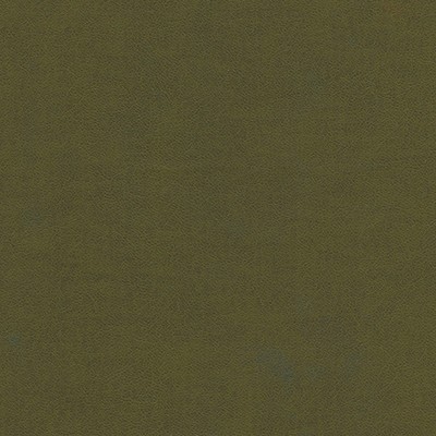 Maxwell Fabrics KNACK-NJ # 1288 ALGAE