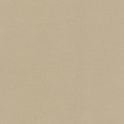 Maxwell Fabrics KNACK-NJ # 1289 LIMESTONE