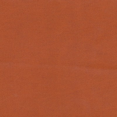 Maxwell Fabrics KNACK-NJ # 1291 SATSUMA