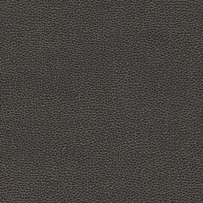 Maxwell Fabrics LEVANT-NJ # 1176 GRAPHITE