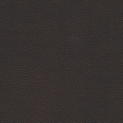 Maxwell Fabrics LEVANT-NJ # 1178 BLACK BEAN