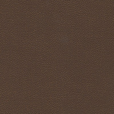 Maxwell Fabrics LEVANT-NJ # 1181 MOCHA