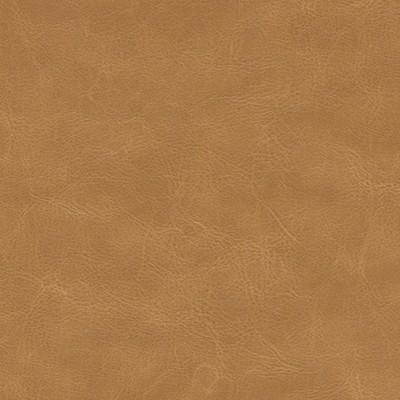 Maxwell Fabrics MARZANO-NJ # 274 BAKED BEANS