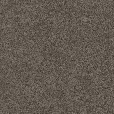 Maxwell Fabrics NOONDAY-NJ # 1025 GRAPHITE