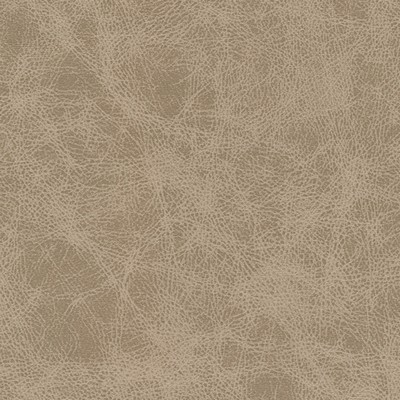 Maxwell Fabrics NOONDAY-NJ # 1027 KIT FOX