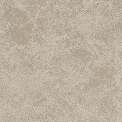 Maxwell Fabrics NOONDAY-NJ # 1028 MILK