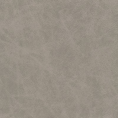 Maxwell Fabrics NOONDAY-NJ # 1029 ALUMINUM