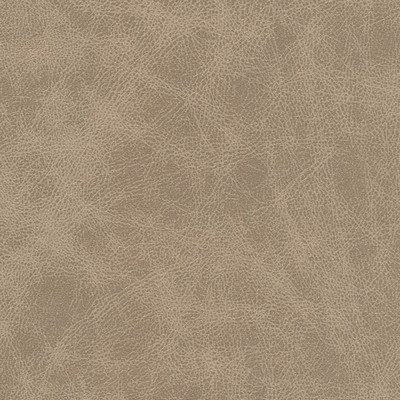 Maxwell Fabrics NOONDAY-NJ # 1033 MARBLE