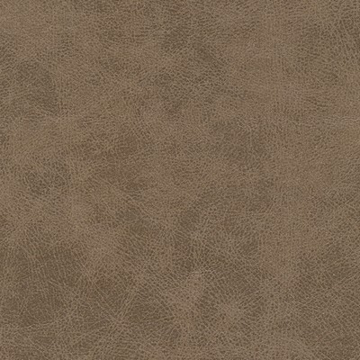 Maxwell Fabrics NOONDAY-NJ # 1034 DESERT