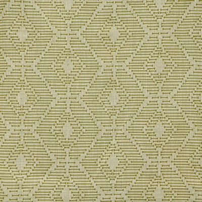 Maxwell Fabrics ORAPA # 316 OLIVE