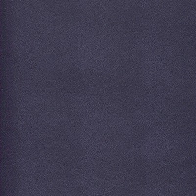 Maxwell Fabrics POTION-NJ # 593 TANZANITE