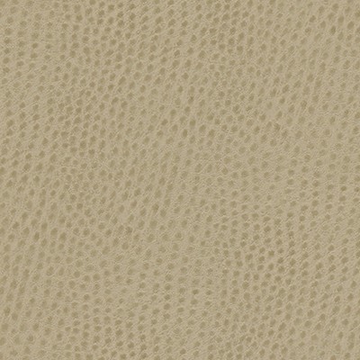 Maxwell Fabrics QUILL-NJ # 878 MARZIPAN