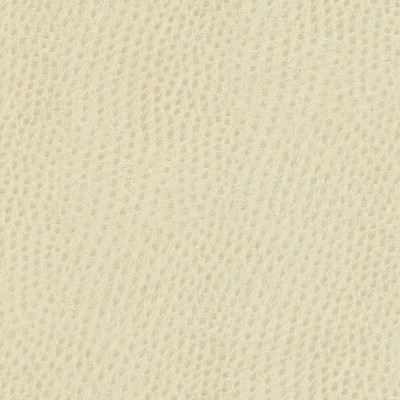 Maxwell Fabrics QUILL-NJ # 882 ORLOV