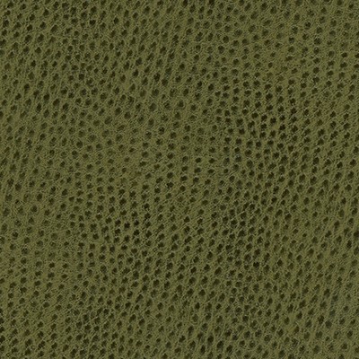 Maxwell Fabrics QUILL-NJ # 885 MANGROVE