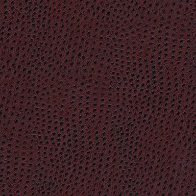 Maxwell Fabrics QUILL-NJ # 886 BERRY