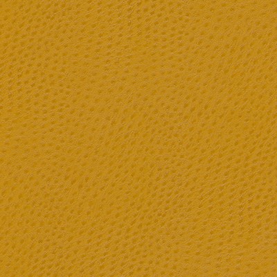 Maxwell Fabrics QUILL-NJ # 889 SUNBURST