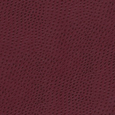 Maxwell Fabrics QUILL-NJ # 890 BRAMBLE