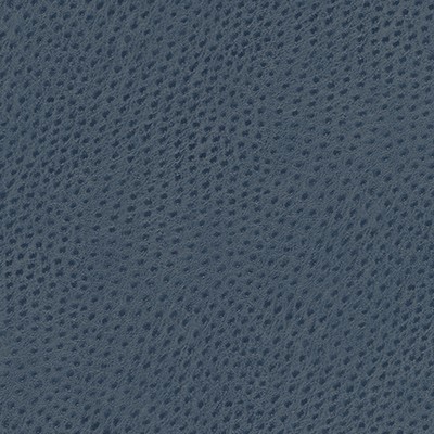 Maxwell Fabrics QUILL-NJ # 891 BLACKTHORN