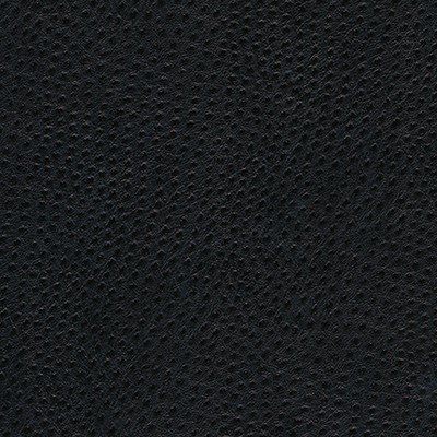 Maxwell Fabrics QUILL-NJ # 892 COAL