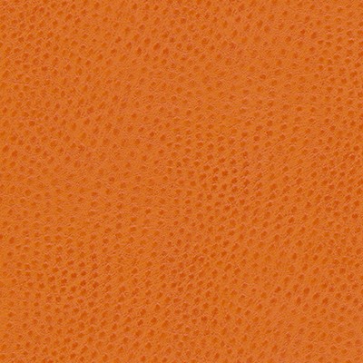 Maxwell Fabrics QUILL-NJ # 893 GRAPEFRUIT